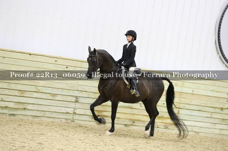 Proof 22R13_06059