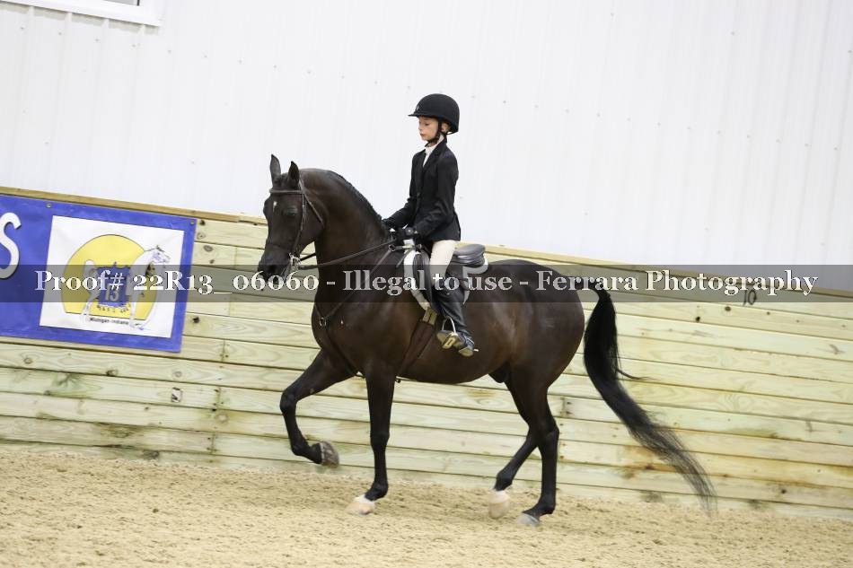 Proof 22R13_06060