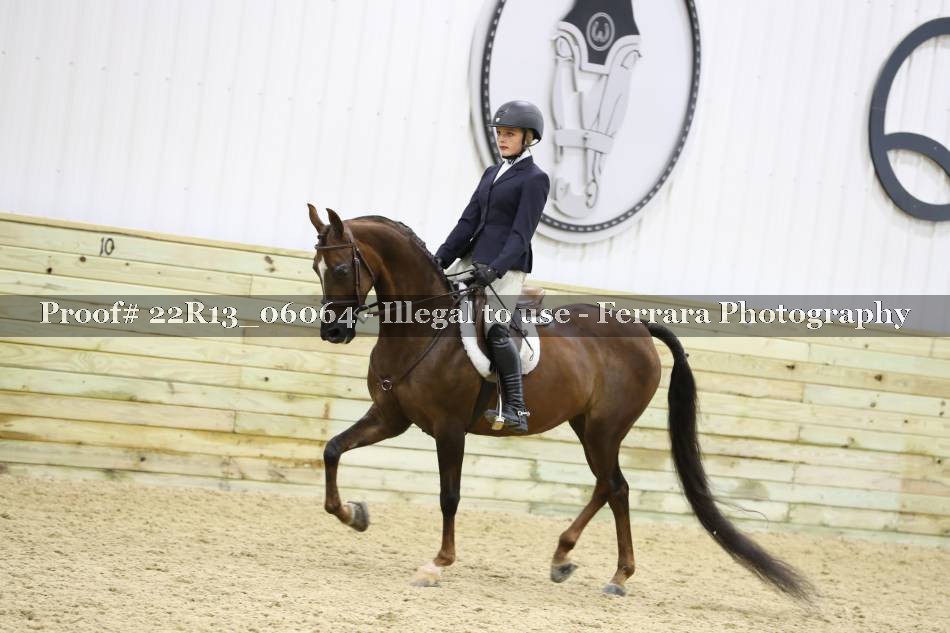 Proof 22R13_06064
