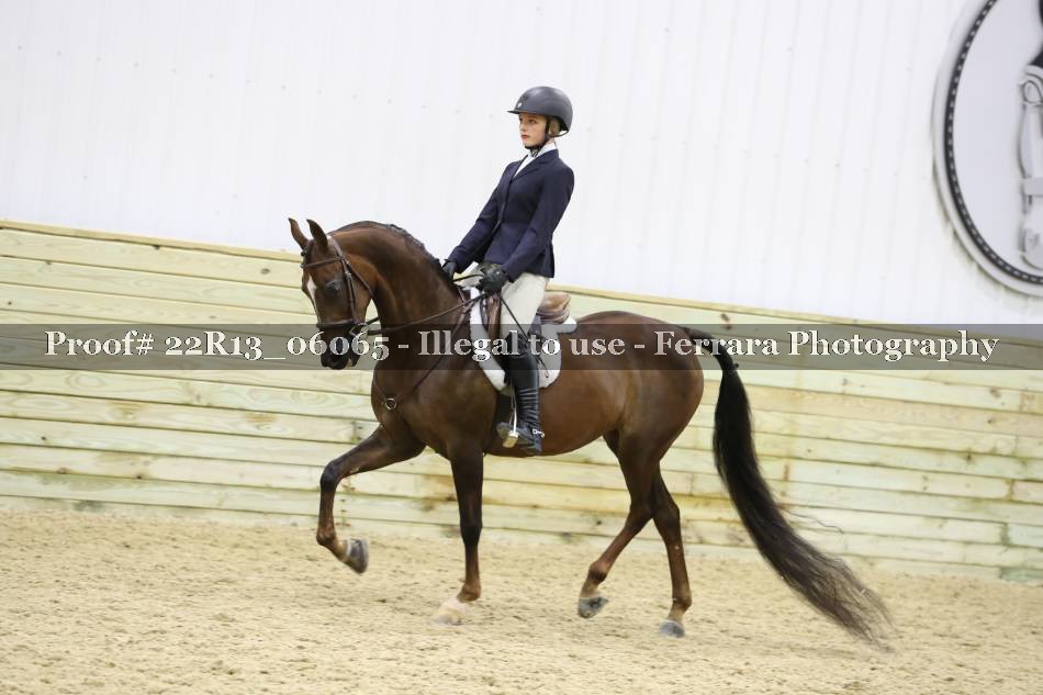 Proof 22R13_06065