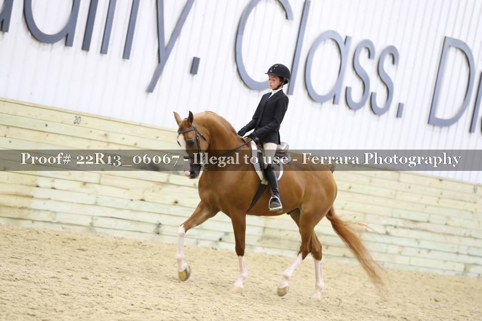 Proof 22R13_06067