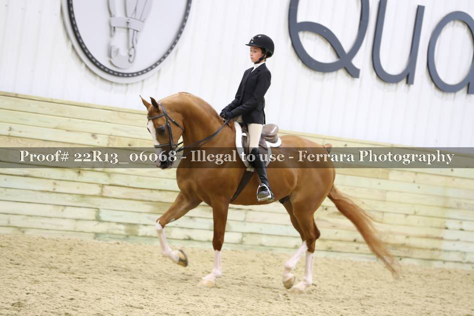Proof 22R13_06068