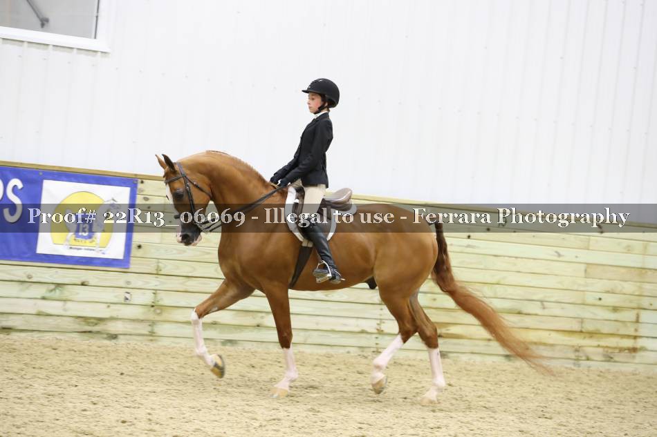 Proof 22R13_06069