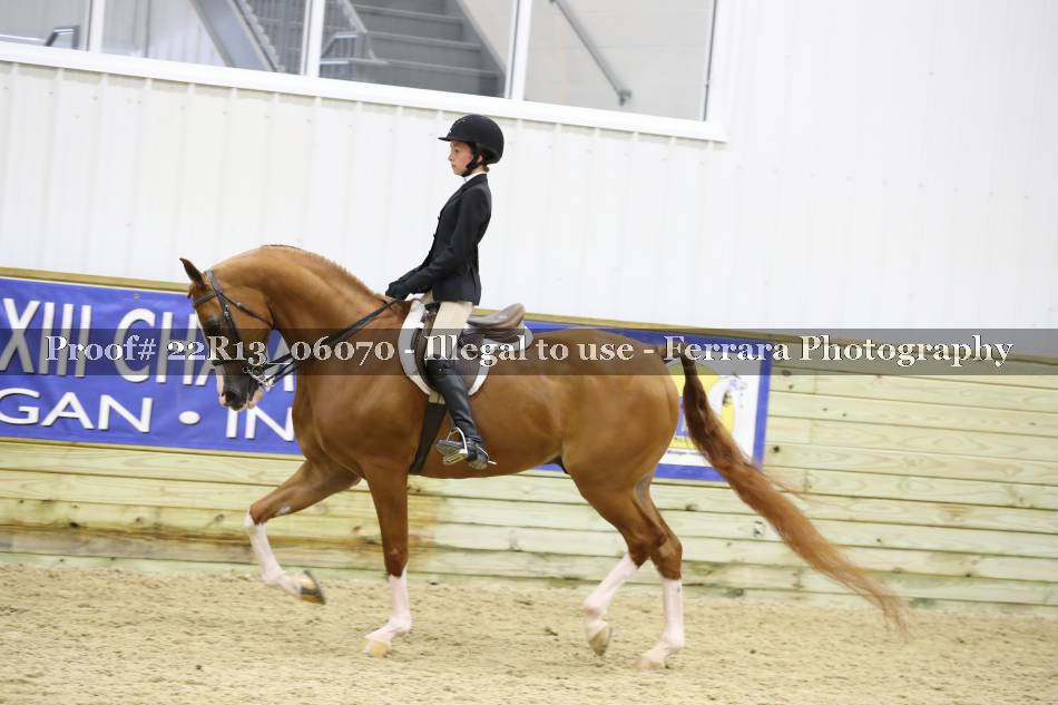 Proof 22R13_06070