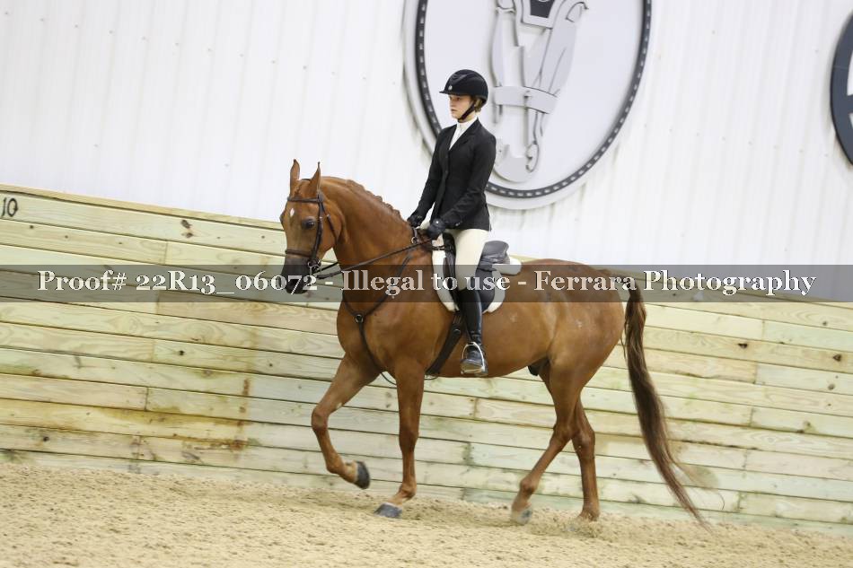 Proof 22R13_06072