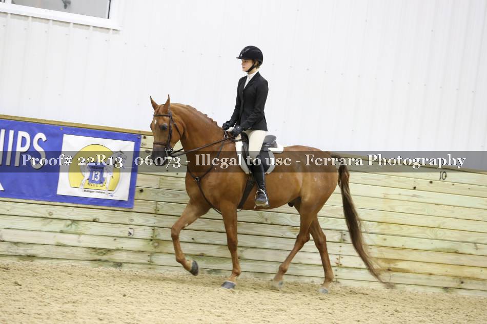 Proof 22R13_06073