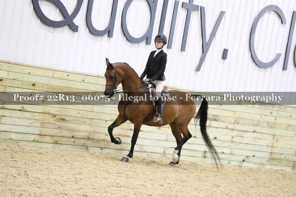 Proof 22R13_06075