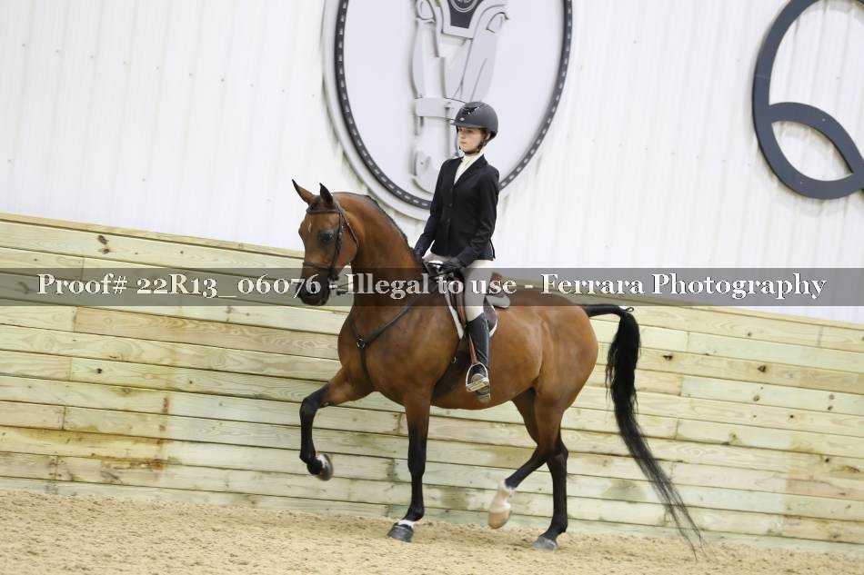 Proof 22R13_06076