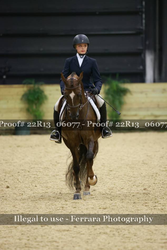 Proof 22R13_06077