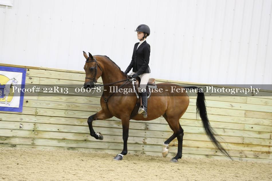 Proof 22R13_06078