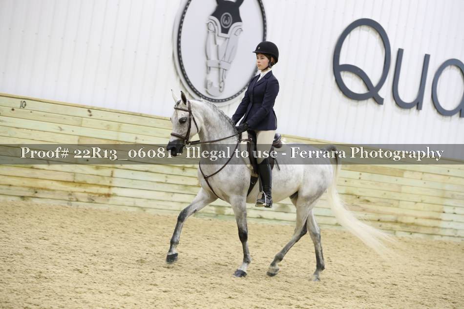 Proof 22R13_06081