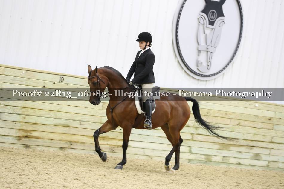 Proof 22R13_06083
