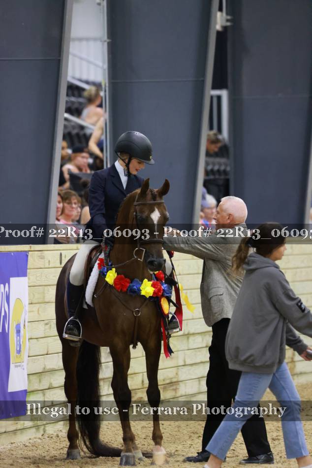 Proof 22R13_06093