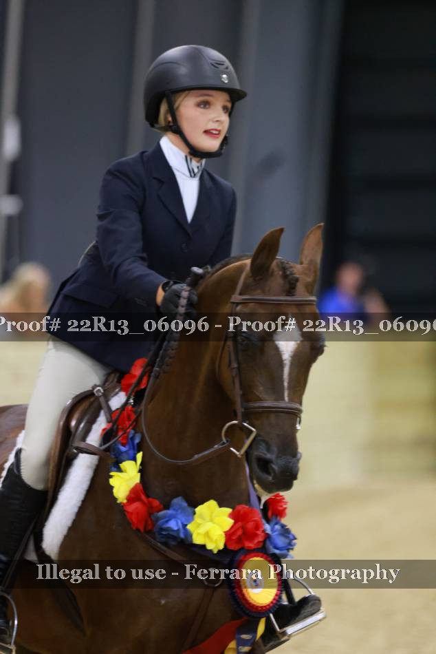 Proof 22R13_06096