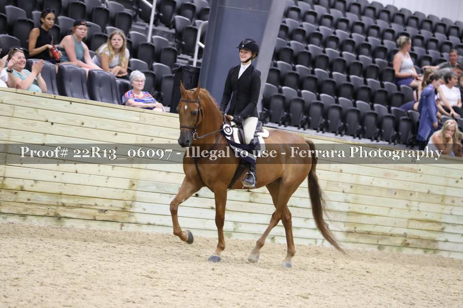 Proof 22R13_06097
