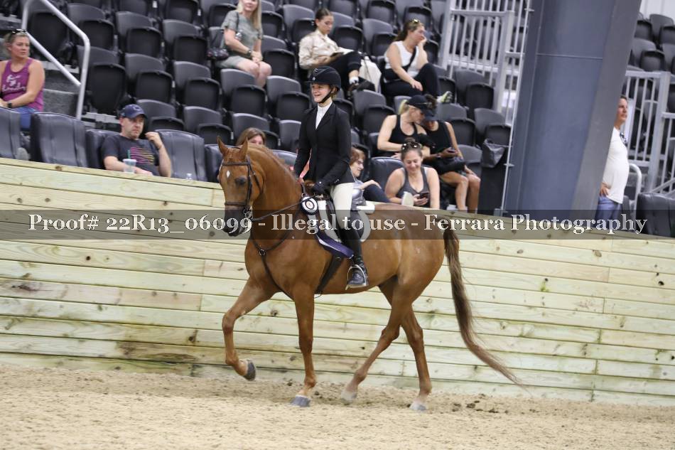 Proof 22R13_06099