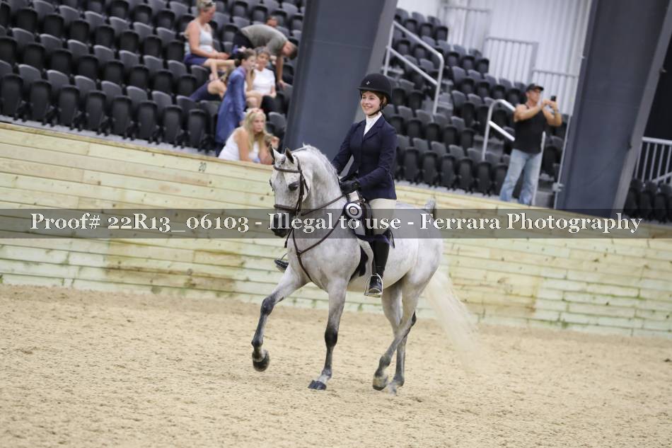 Proof 22R13_06103