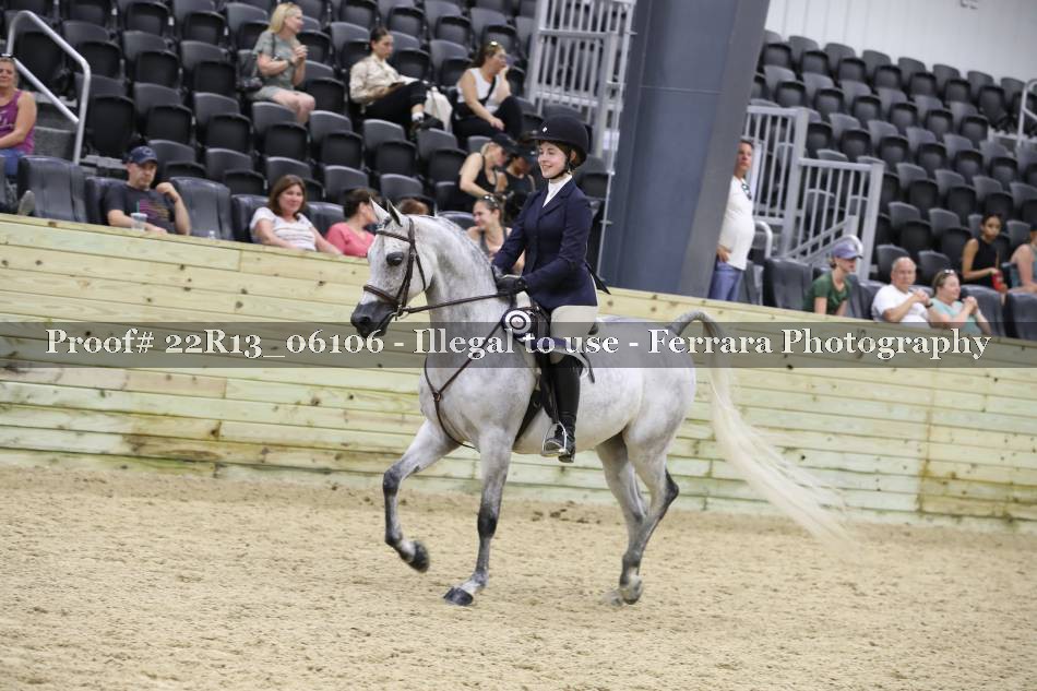 Proof 22R13_06106
