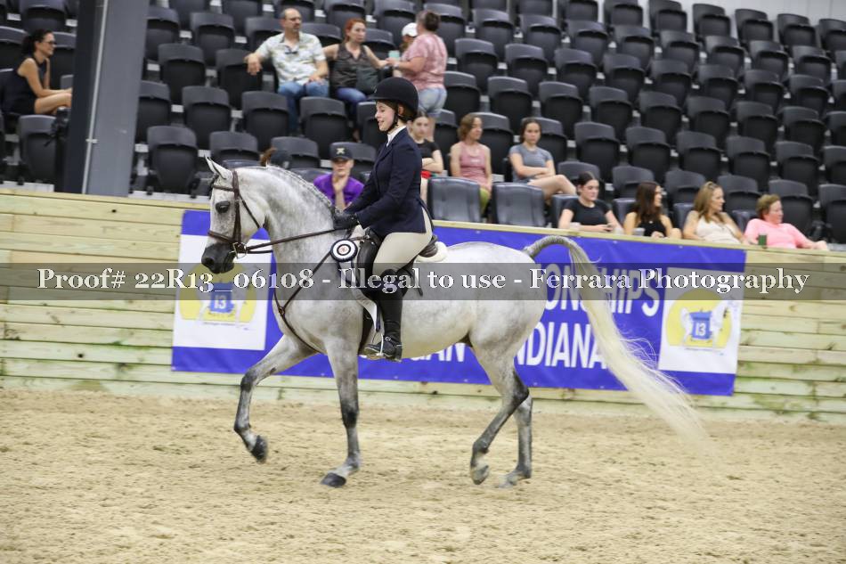 Proof 22R13_06108
