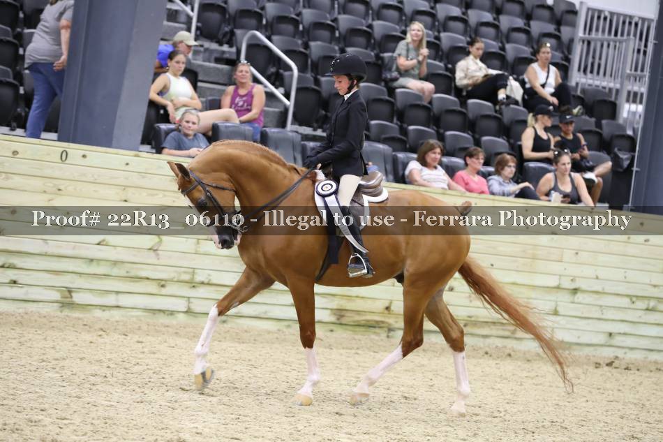 Proof 22R13_06110