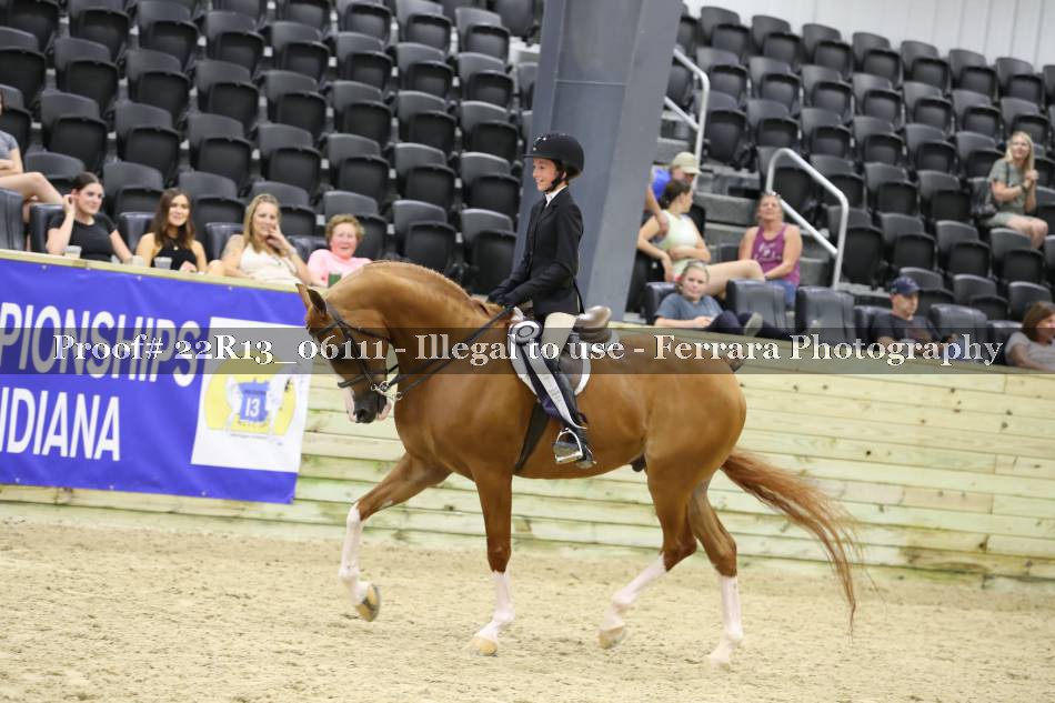 Proof 22R13_06111