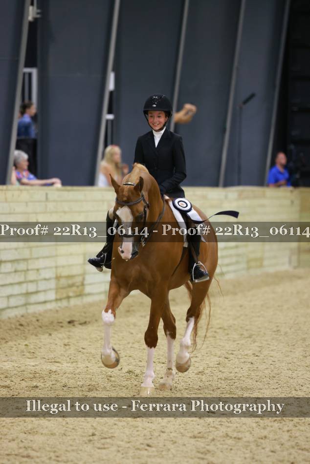 Proof 22R13_06114