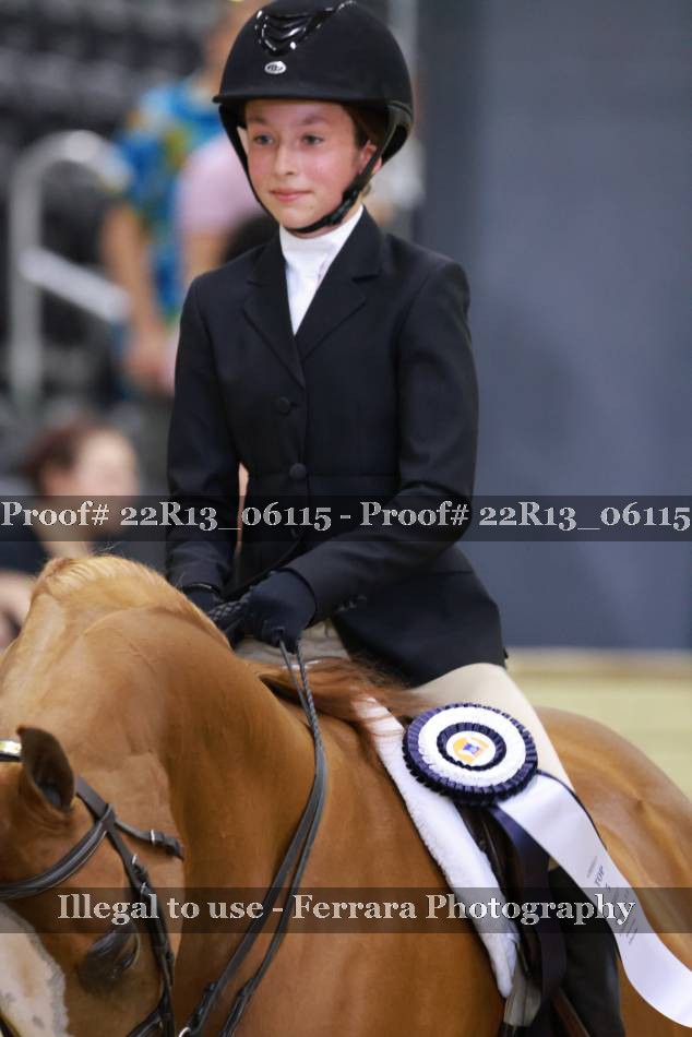 Proof 22R13_06115