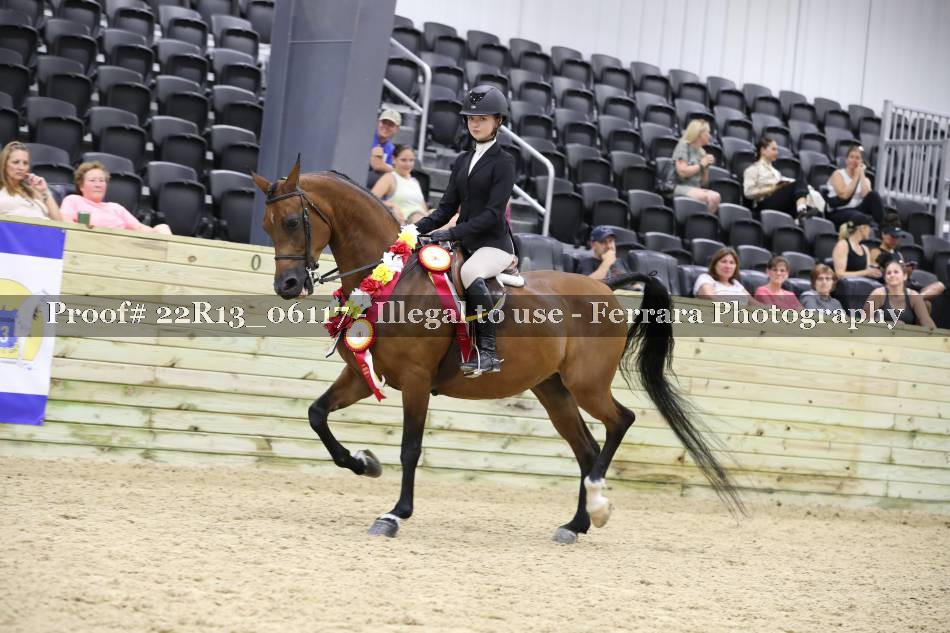 Proof 22R13_06117
