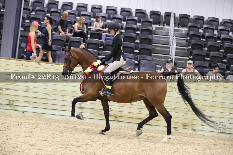 Proof 22R13_06120