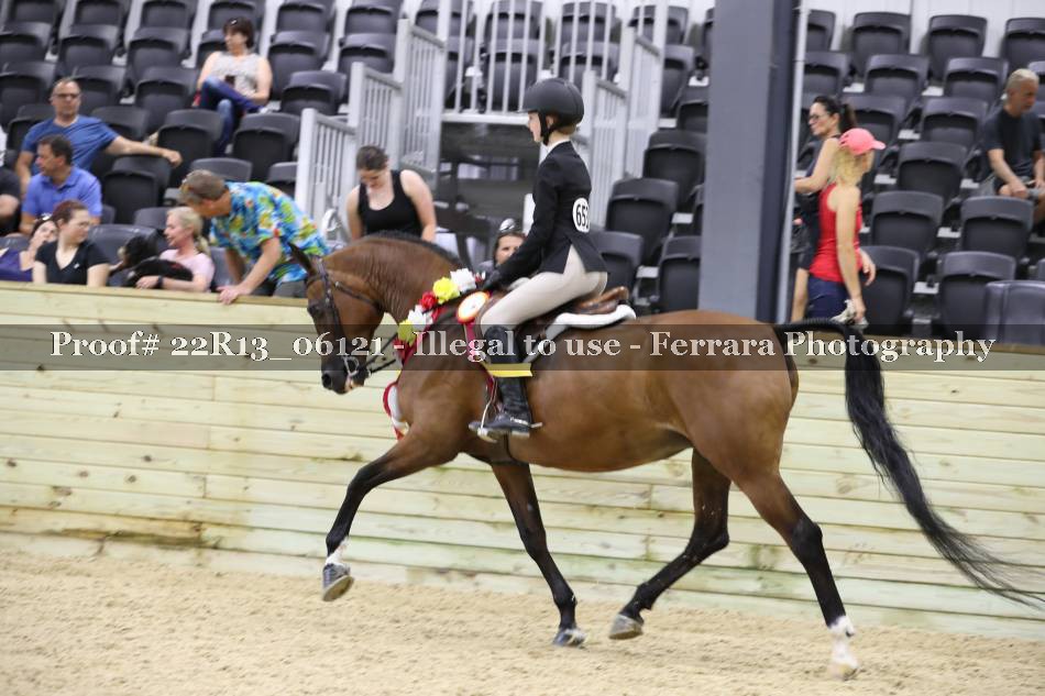 Proof 22R13_06121