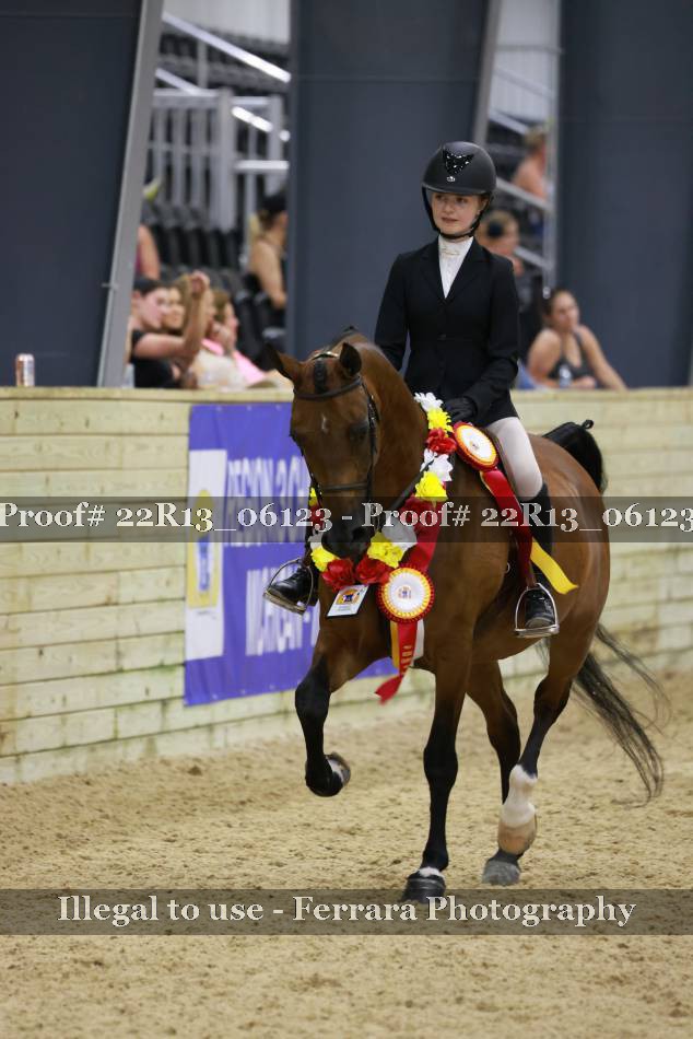 Proof 22R13_06123