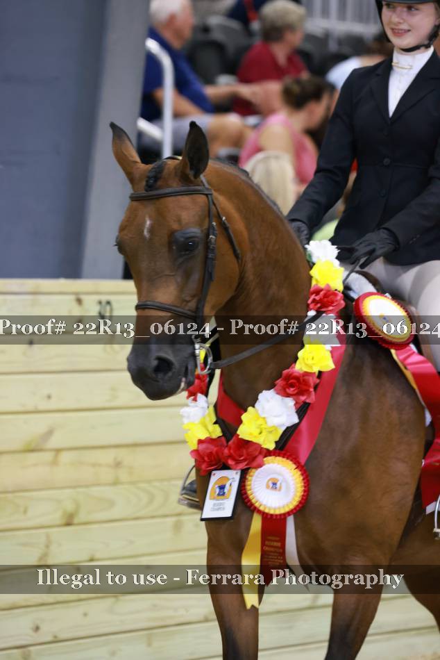 Proof 22R13_06124