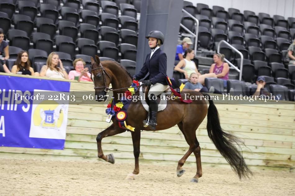 Proof 22R13_06127