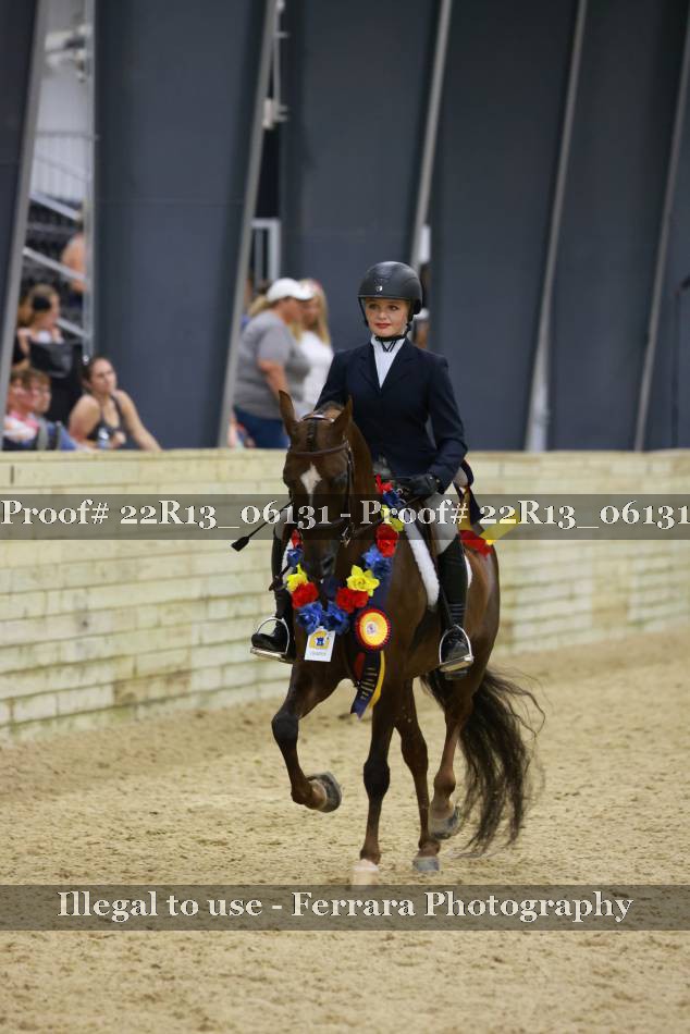 Proof 22R13_06131
