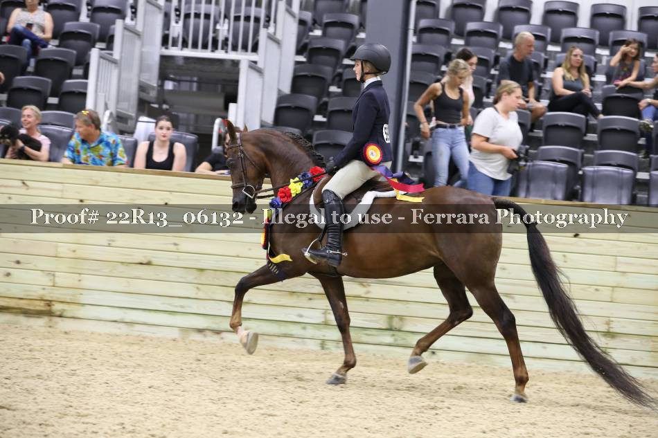 Proof 22R13_06132