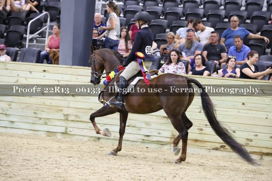 Proof 22R13_06133