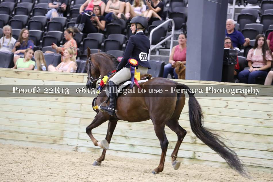 Proof 22R13_06134