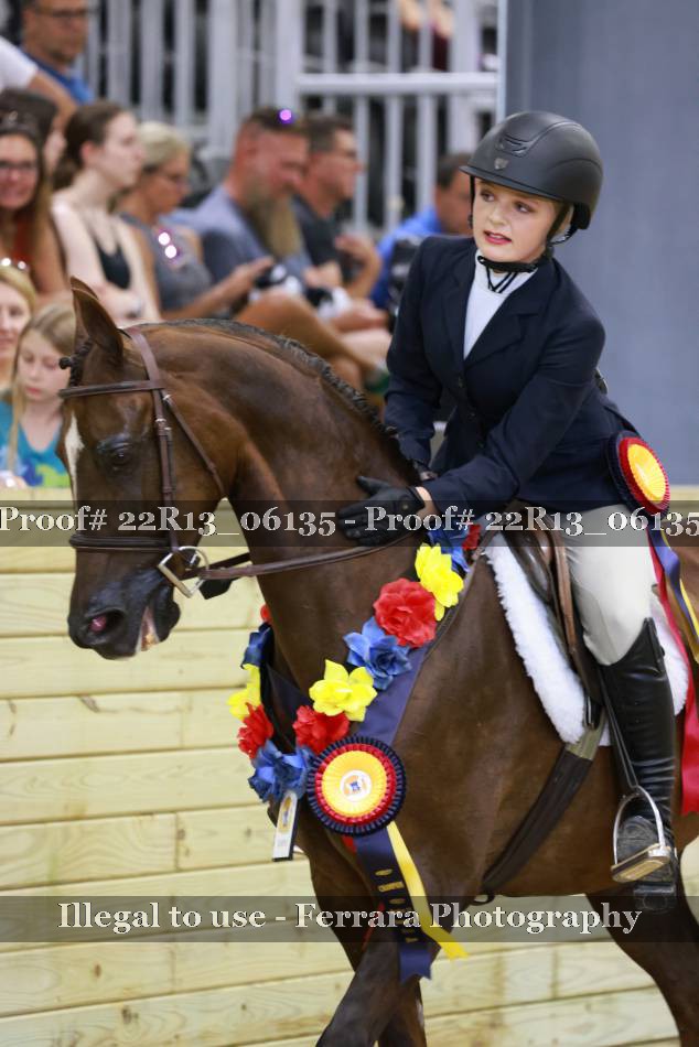 Proof 22R13_06135