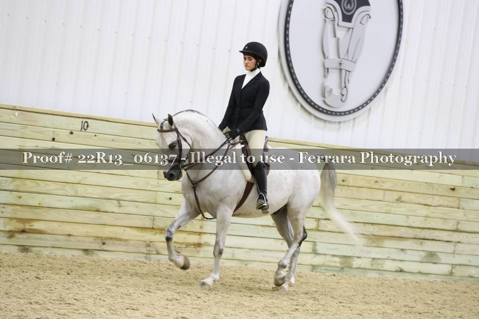 Proof 22R13_06137