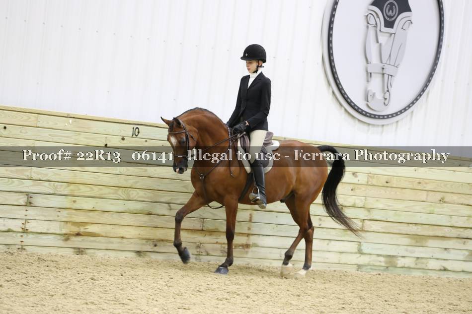 Proof 22R13_06141