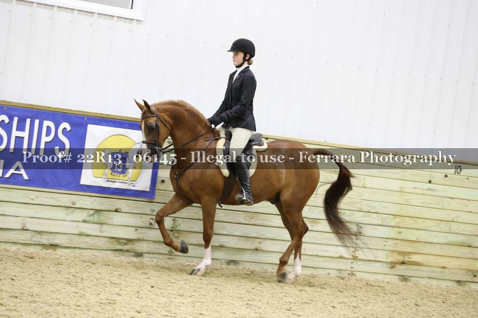 Proof 22R13_06145