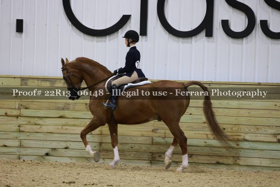 Proof 22R13_06148