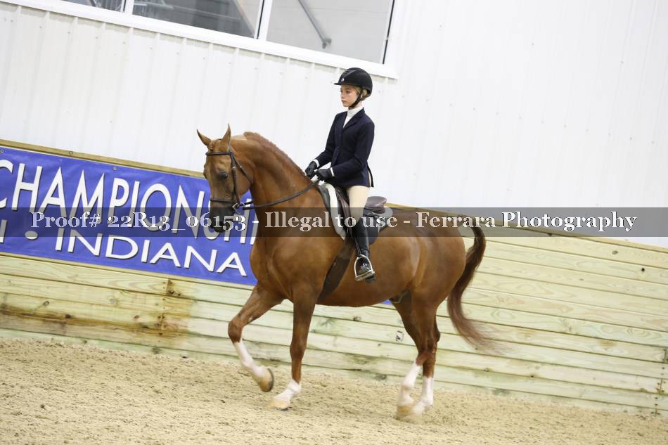 Proof 22R13_06153