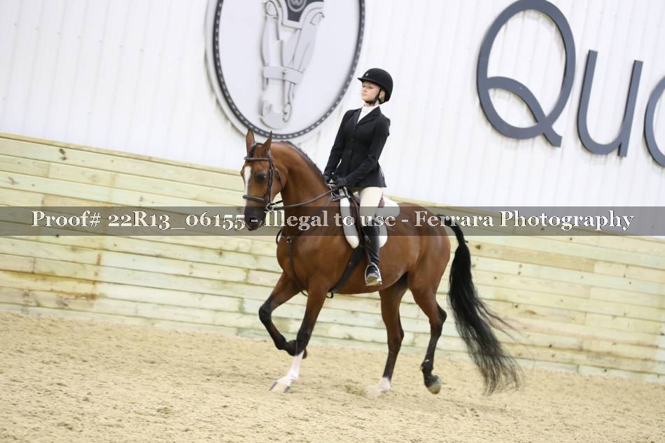 Proof 22R13_06155