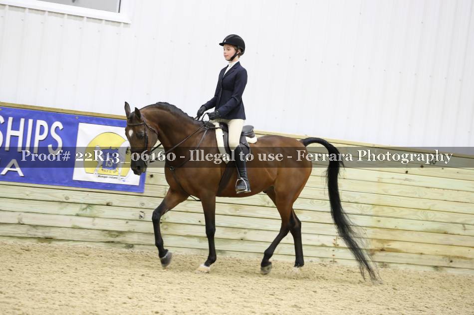 Proof 22R13_06160