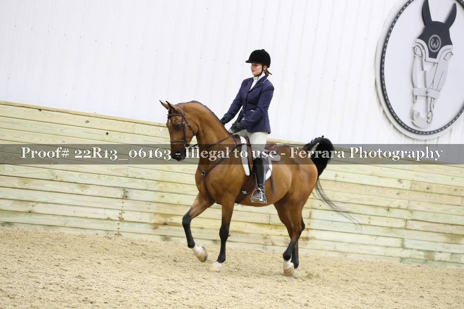 Proof 22R13_06163