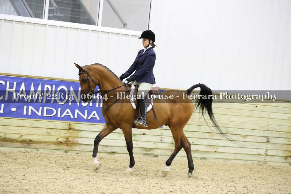Proof 22R13_06164