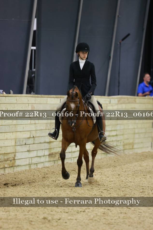 Proof 22R13_06166