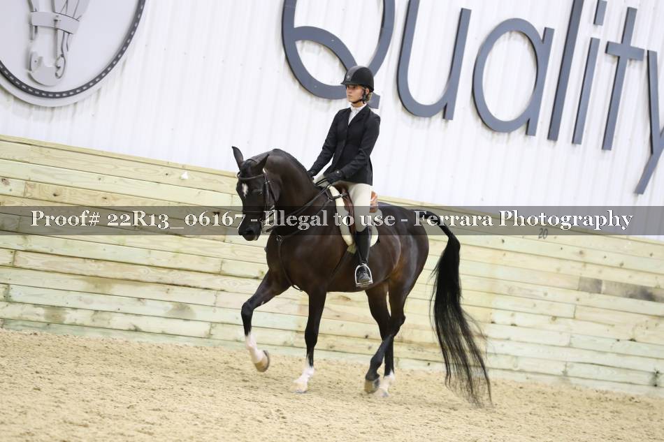 Proof 22R13_06167