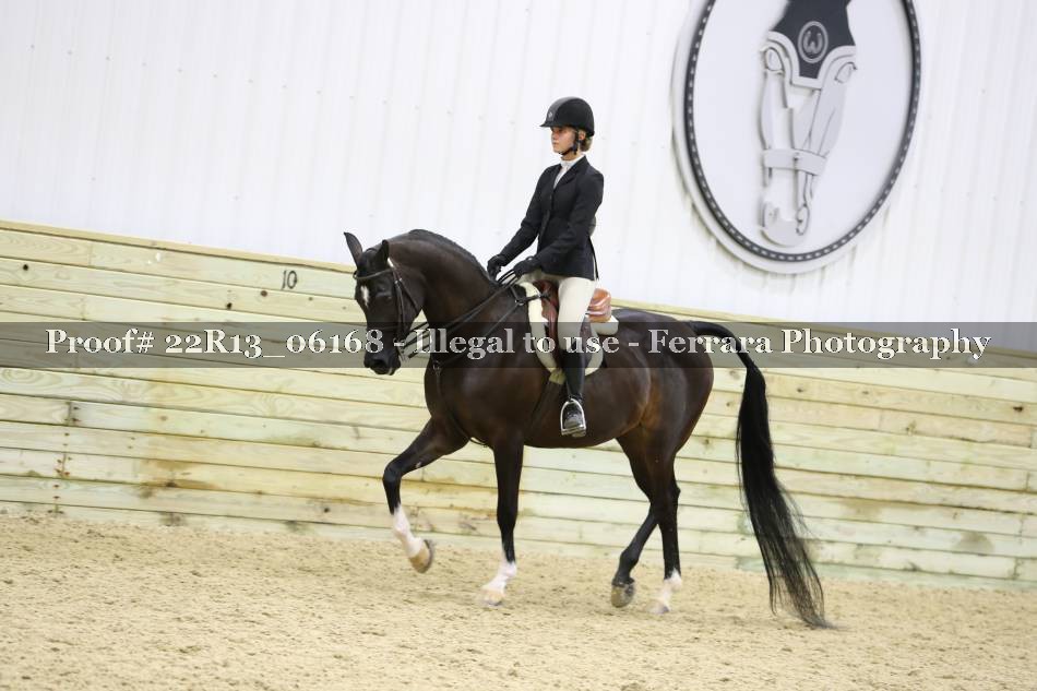 Proof 22R13_06168